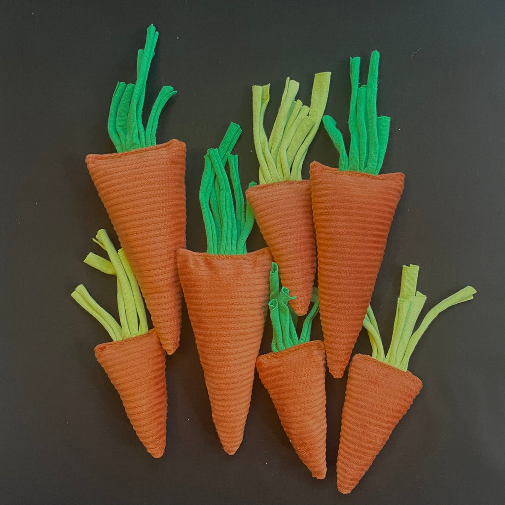 Carrot Catnip Toy